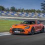 Driving Experience AMG GT BS / AMG E 53 & E 63 Lausitzring 2020Driving Experience AMG GT BS / AMG E 53 & E 63 Lausitzring 2020