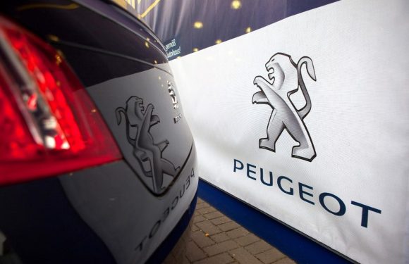 Семејството Пежо го зголеми своето учество во Peugeot
