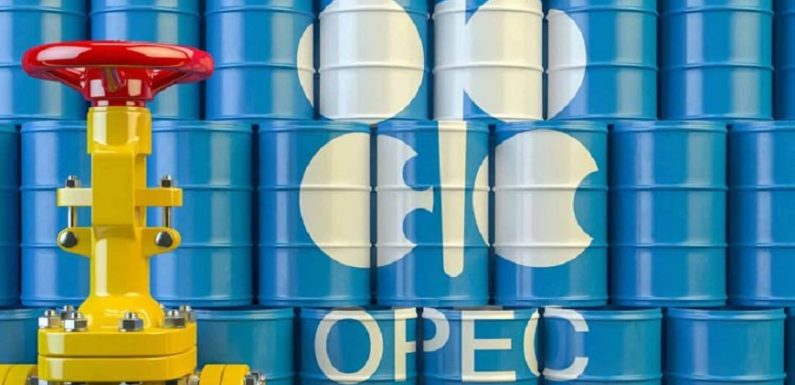 ОПЕК нема да интервенира врз растот на цената на нафтата