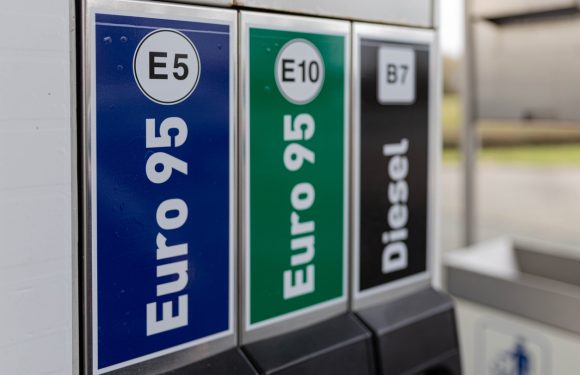 Знаете ли што значат ознаките на алтернативните горивата?