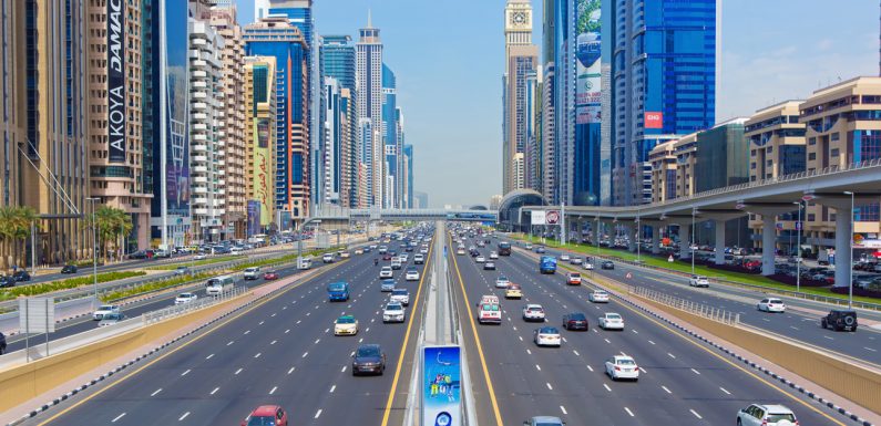 Низа факти за патиштата во Емиратите (видео)
